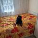review preview photo № 9